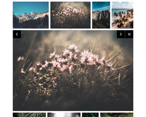XPANDA - Responsive Gallery Content Expander Plugin