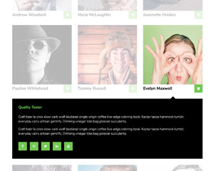 XPANDA - Responsive Gallery Content Expander Plugin