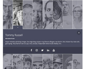 XPANDA - Responsive Gallery Content Expander Plugin